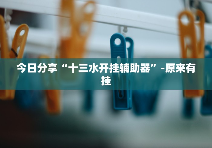 今日分享“十三水开挂辅助器”-原来有挂