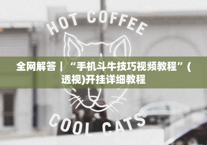 全网解答｜“手机斗牛技巧视频教程”(透视)开挂详细教程