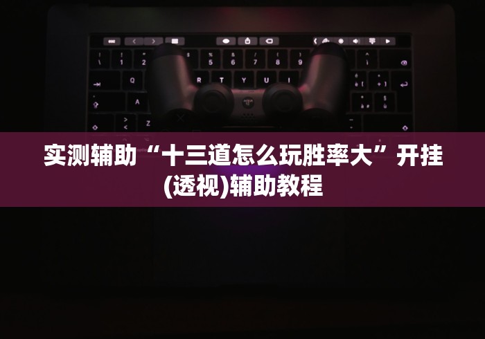 实测辅助“十三道怎么玩胜率大”开挂(透视)辅助教程
