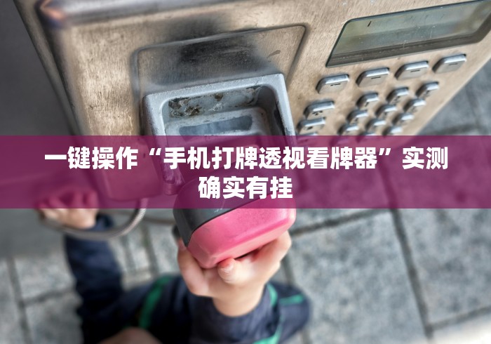 一键操作“手机打牌透视看牌器”实测确实有挂