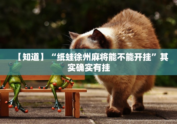 【知道】“纸蛙徐州麻将能不能开挂”其实确实有挂