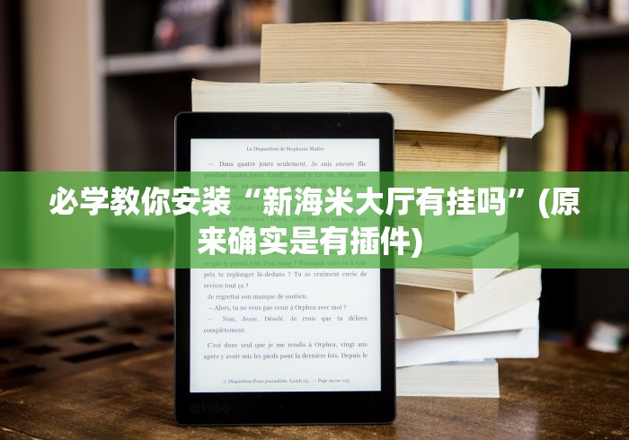 必学教你安装“新海米大厅有挂吗”(原来确实是有插件) 