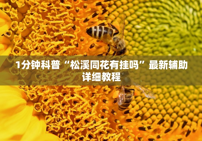 1分钟科普“松溪同花有挂吗”最新辅助详细教程