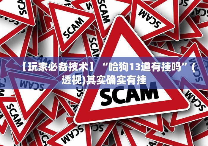 【玩家必备技术】“哈狗13道有挂吗”(透视)其实确实有挂