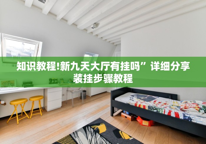知识教程!新九天大厅有挂吗”详细分享装挂步骤教程