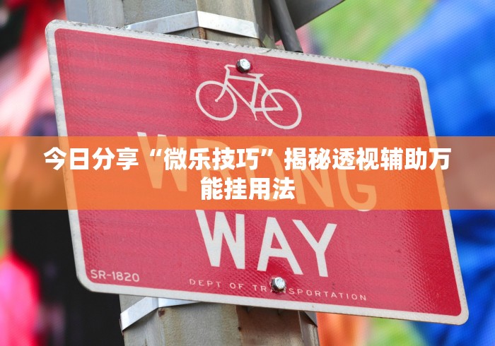 今日分享“微乐技巧”揭秘透视辅助万能挂用法