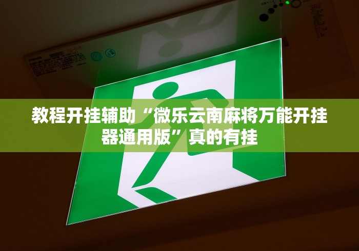 教程开挂辅助“微乐云南麻将万能开挂器通用版”真的有挂