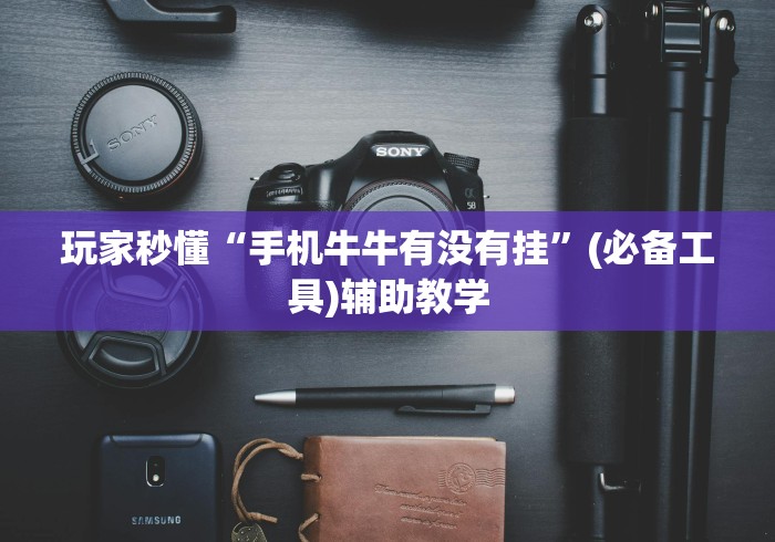 玩家秒懂“手机牛牛有没有挂”(必备工具)辅助教学