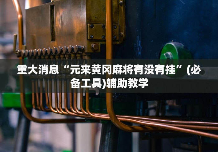 重大消息“元来黄冈麻将有没有挂”(必备工具)辅助教学