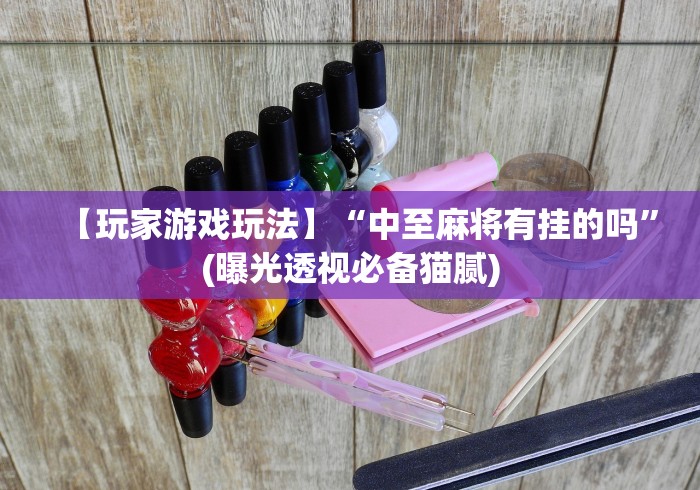 【玩家游戏玩法】“中至麻将有挂的吗”(曝光透视必备猫腻)