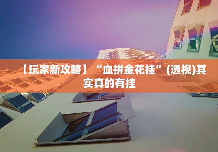 【玩家新攻略】“血拼金花挂”(透视)其实真的有挂