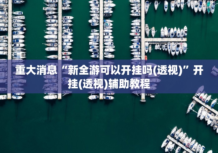 重大消息“新全游可以开挂吗(透视)”开挂(透视)辅助教程