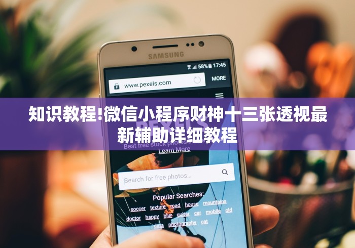 知识教程!微信小程序财神十三张透视最新辅助详细教程