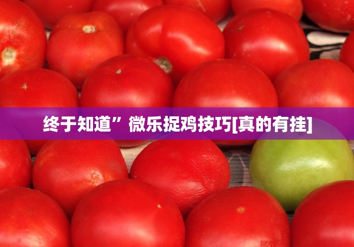 终于知道”微乐捉鸡技巧[真的有挂]