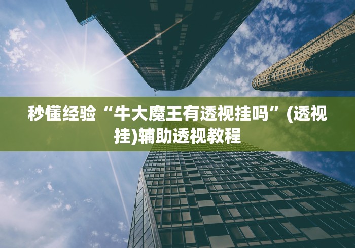 秒懂经验“牛大魔王有透视挂吗”(透视挂)辅助透视教程