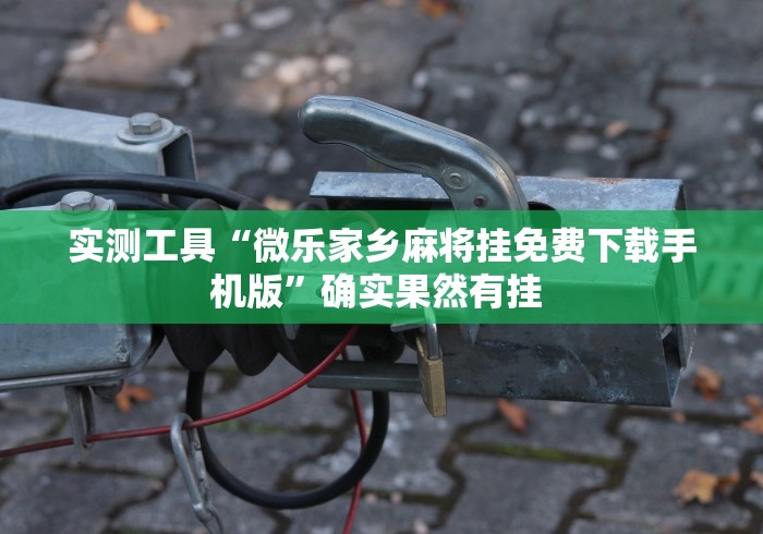 实测工具“微乐家乡麻将挂免费下载手机版”确实果然有挂 