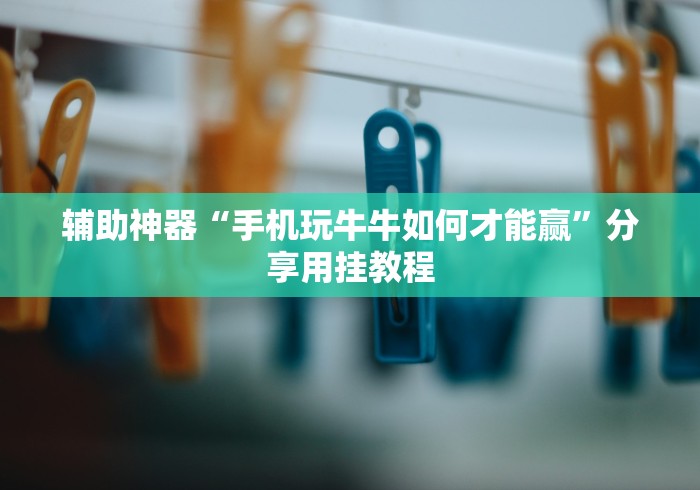 辅助神器“手机玩牛牛如何才能赢”分享用挂教程