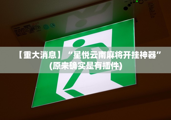 【重大消息】“星悦云南麻将开挂神器”(原来确实是有插件)
