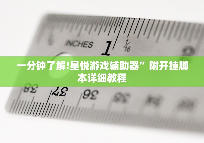 一分钟了解!星悦游戏辅助器”附开挂脚本详细教程