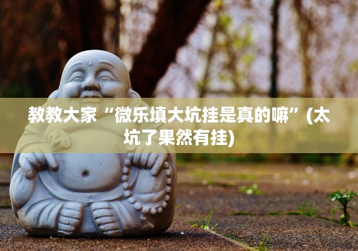 教教大家“微乐填大坑挂是真的嘛”(太坑了果然有挂)