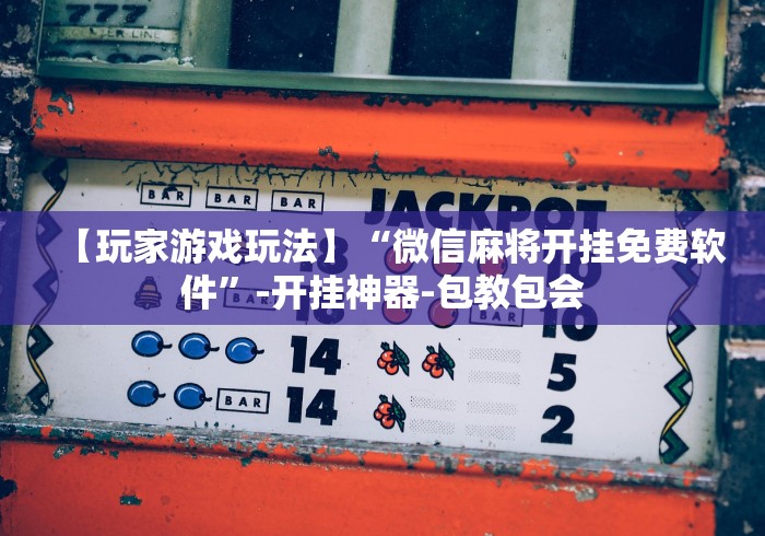 【玩家游戏玩法】“微信麻将开挂免费软件”-开挂神器-包教包会