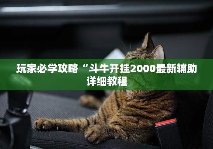 玩家必学攻略“斗牛开挂2000最新辅助详细教程