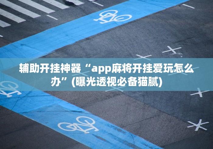 辅助开挂神器“app麻将开挂爱玩怎么办”(曝光透视必备猫腻)