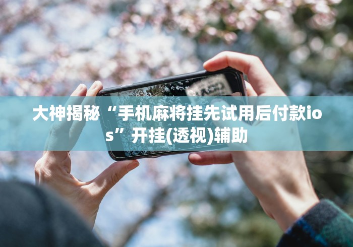 大神揭秘“手机麻将挂先试用后付款ios”开挂(透视)辅助