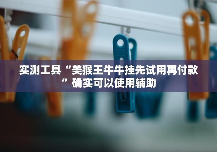 实测工具“美猴王牛牛挂先试用再付款”确实可以使用辅助