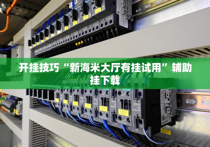 开挂技巧“新海米大厅有挂试用”辅助挂下载