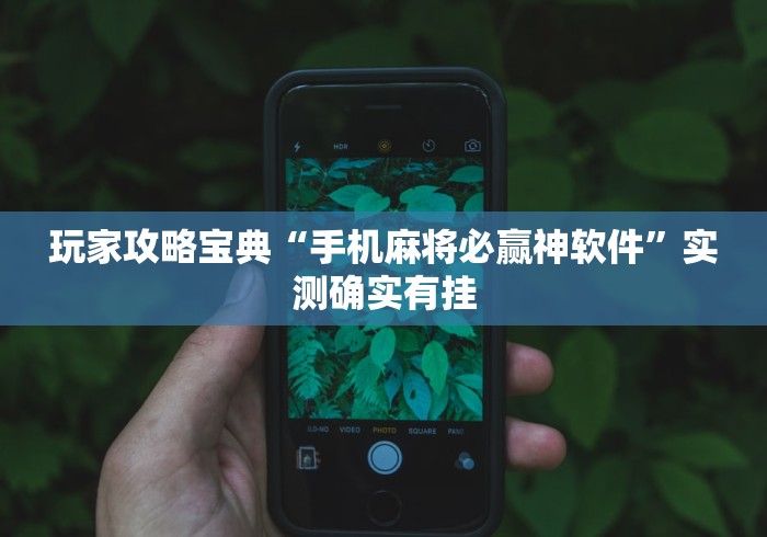 玩家攻略宝典“手机麻将必赢神软件”实测确实有挂