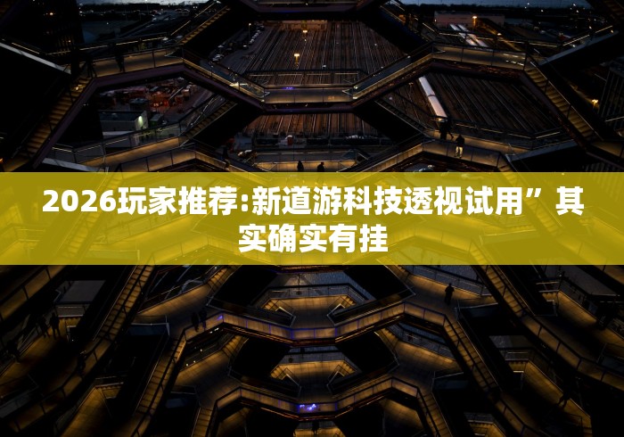 2026玩家推荐:新道游科技透视试用”其实确实有挂