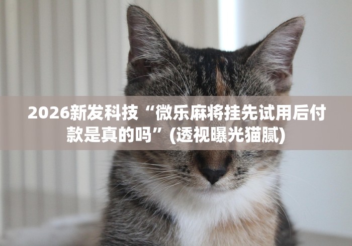 2026新发科技“微乐麻将挂先试用后付款是真的吗”(透视曝光猫腻)