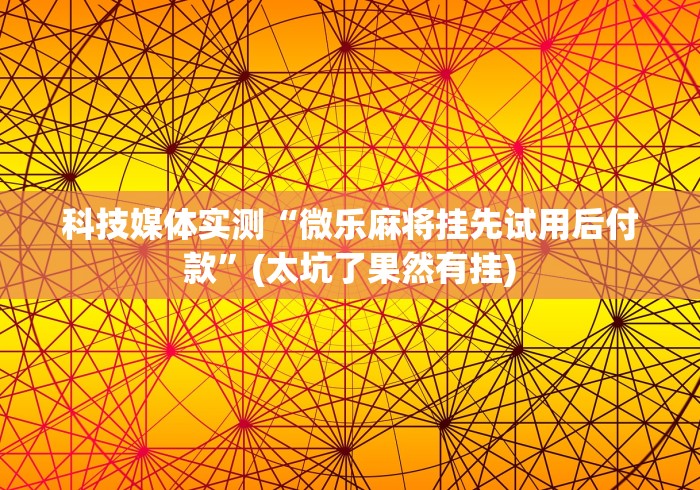 科技媒体实测“微乐麻将挂先试用后付款	”(太坑了果然有挂)