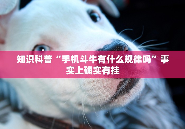 知识科普“手机斗牛有什么规律吗”事实上确实有挂