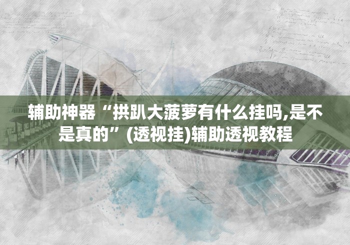 辅助神器“拱趴大菠萝有什么挂吗,是不是真的”(透视挂)辅助透视教程