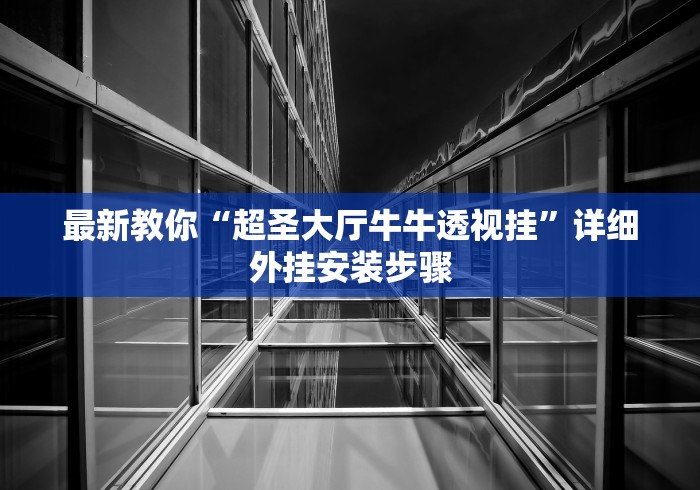 最新教你“超圣大厅牛牛透视挂”详细外挂安装步骤