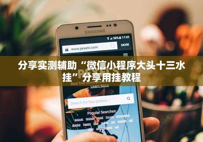 分享实测辅助“微信小程序大头十三水挂”分享用挂教程