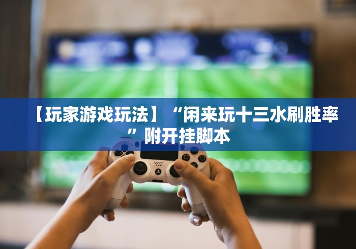 【玩家游戏玩法】“闲来玩十三水刷胜率”附开挂脚本