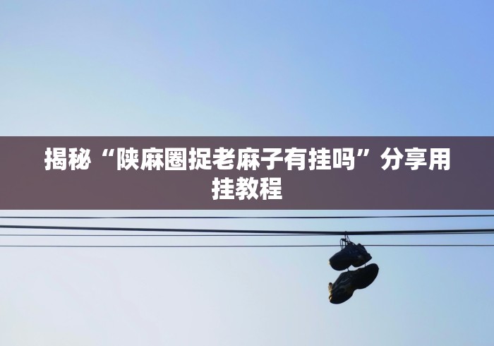 揭秘“陕麻圈捉老麻子有挂吗	”分享用挂教程