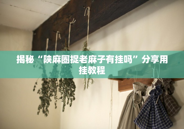 揭秘“陕麻圈捉老麻子有挂吗”分享用挂教程