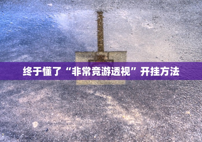 终于懂了“非常竞游透视”开挂方法