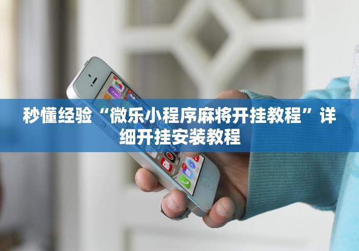 秒懂经验“微乐小程序麻将开挂教程”详细开挂安装教程