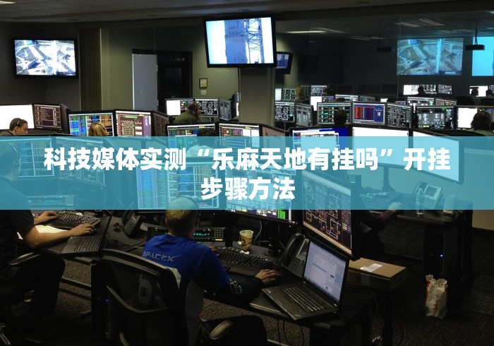 科技媒体实测“乐麻天地有挂吗”开挂步骤方法