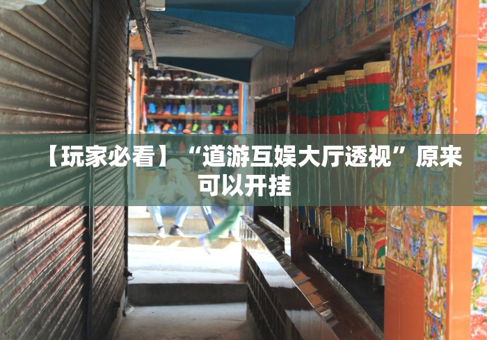 【玩家必看】“道游互娱大厅透视”原来可以开挂