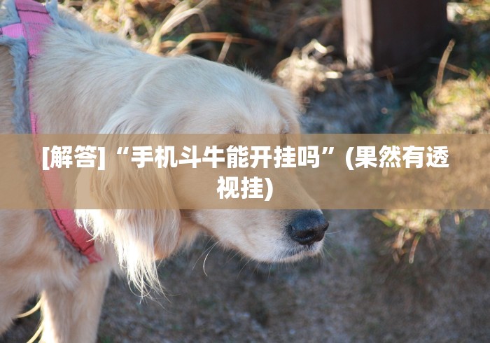 [解答]“手机斗牛能开挂吗	”(果然有透视挂)