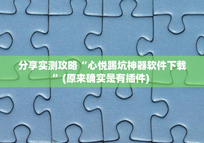 分享实测攻略“心悦踢坑神器软件下载	”(原来确实是有插件) 