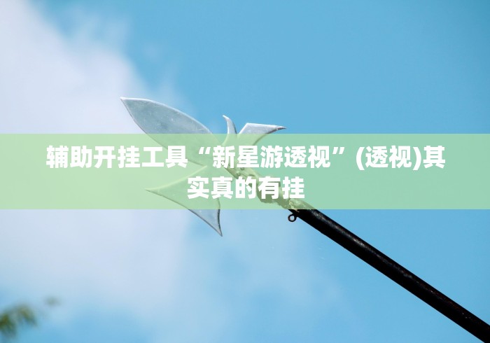 辅助开挂工具“新星游透视”(透视)其实真的有挂