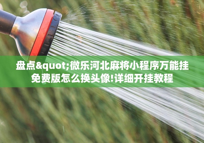 盘点"微乐河北麻将小程序万能挂免费版怎么换头像!详细开挂教程