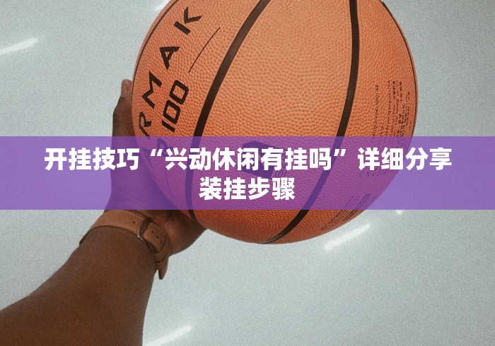 开挂技巧“兴动休闲有挂吗”详细分享装挂步骤